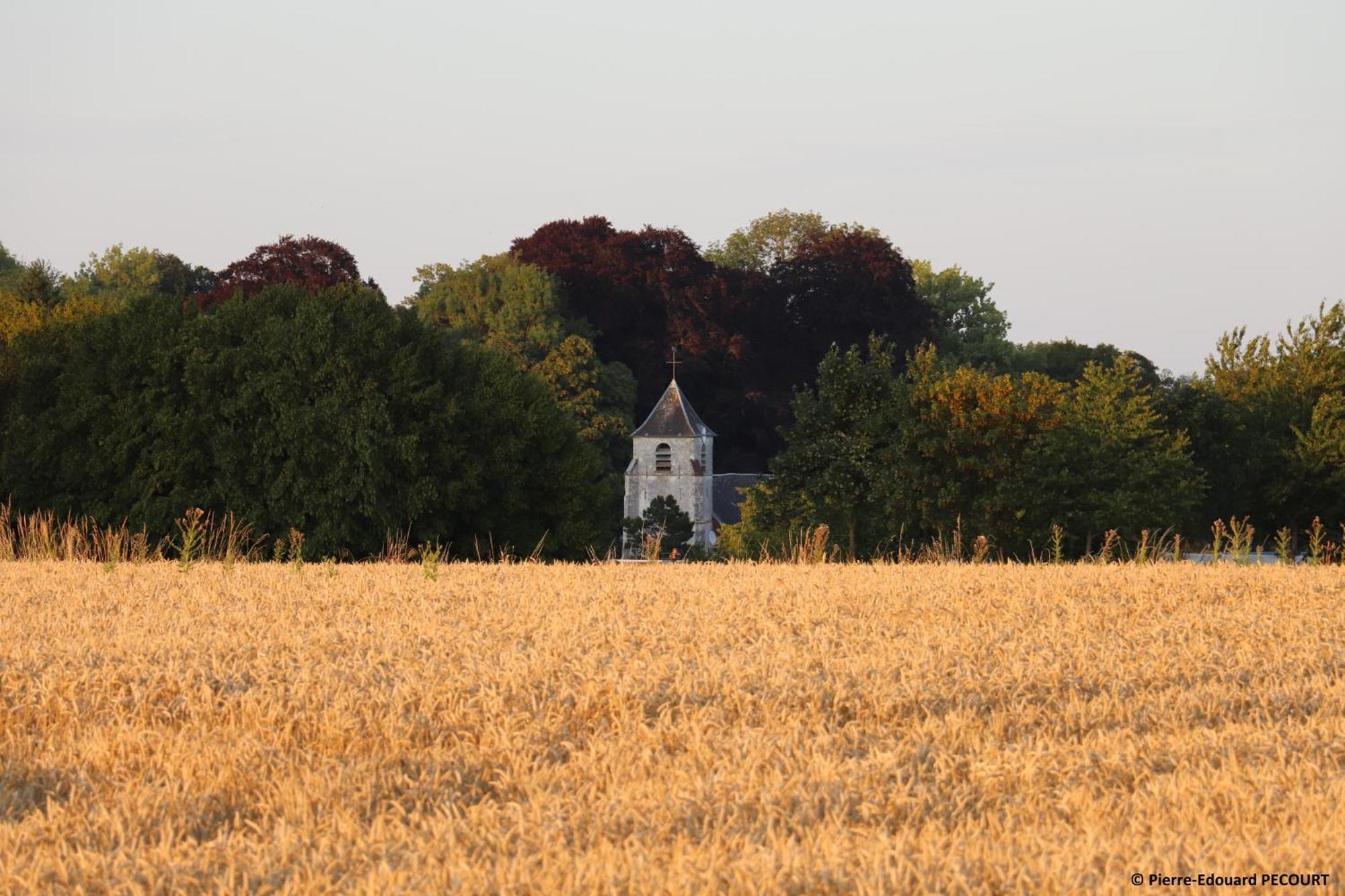 Вилла La Grange Aux Tommies - Pays Du Coquelicot Bus-les-Artois Экстерьер фото