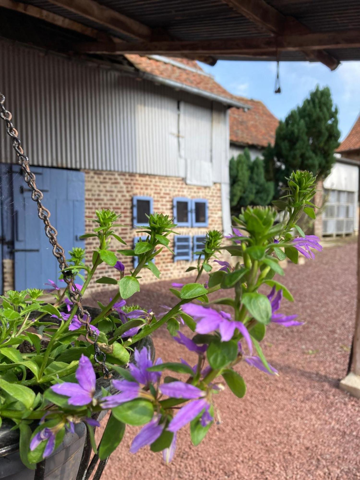 Вилла La Grange Aux Tommies - Pays Du Coquelicot Bus-les-Artois Экстерьер фото